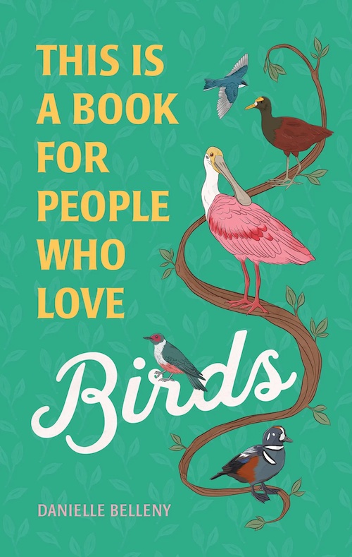 danielle belleny book Wonder Wednesday 115: Black Birder and Let's paint a bird on it with Wings, Worms, and Wonder!