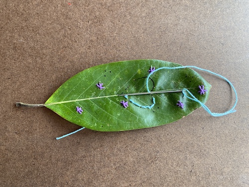Embroider a leaf, become a craftivist for nature! Click here and learn how with Wings, Worms, and Wonder!