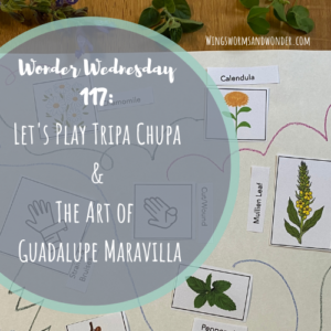 Wonder Wednesday 117 Play Tripa Chuca and teh art of Guadalupe Maravilla