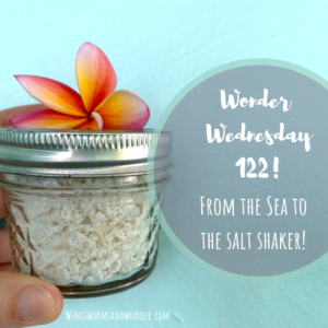 It's Wonder Wednesday 122! Click to make your own ocean fresh sea salt with Wings, Worms, and Wonder!