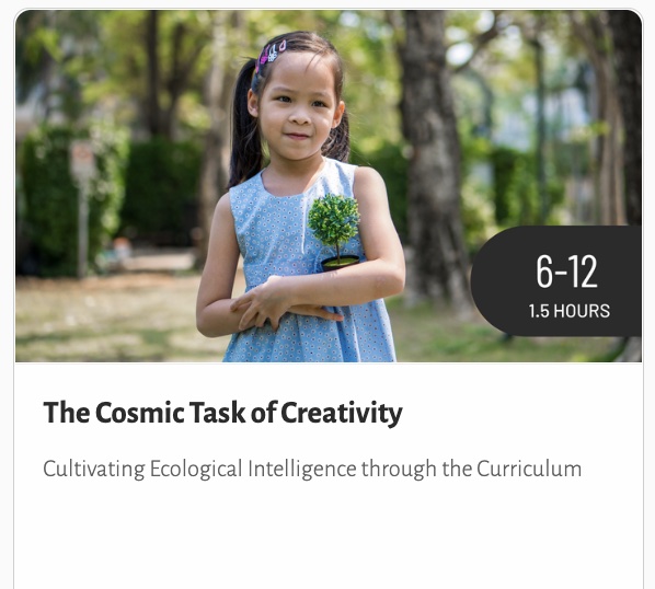 Cosmic Task of Creativity Course