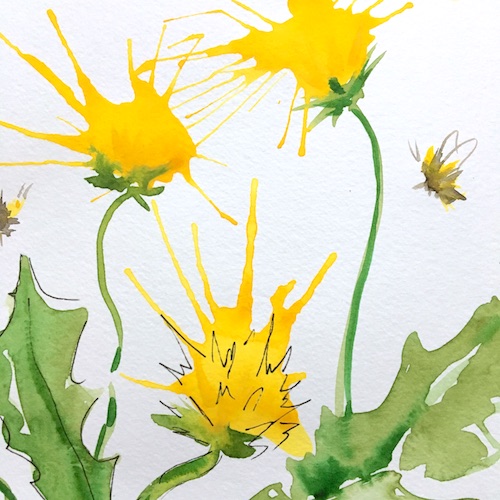 Wonder Wednesday 127! Click to paint delightful dandelions in a loose watercolor style with a fun technique!
