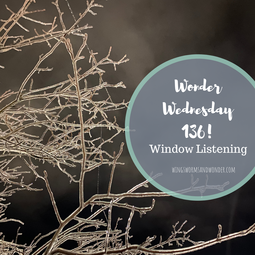 Wonder Wednesday 136 window listening