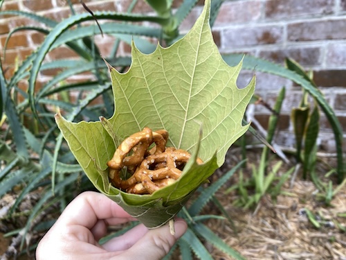 Wonder Wednesday 144: fall leaf baskets Wings Worms and Wonder