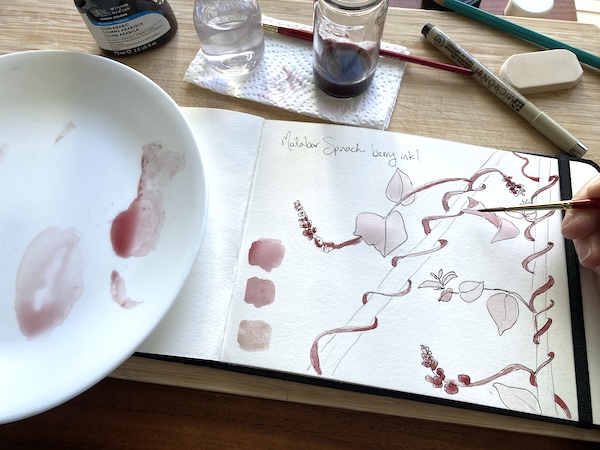 Wonder Wednesday 146: Let's make garden berry ink!