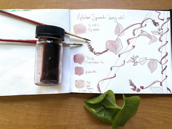 Wonder Wednesday 146: Let's make garden berry ink!