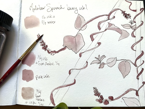 Wonder Wednesday 146: Let's make garden berry ink!