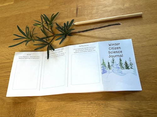 Wonder Wednesday 147 Winter citizen science journal