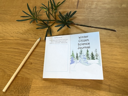 Wonder Wednesday 147 Winter citizen science journal