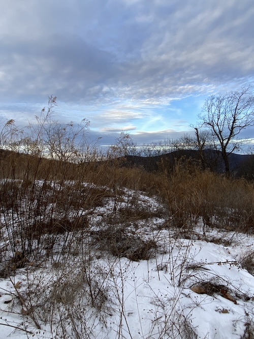 Wonder Wednesday 147 Winter Citizen Science