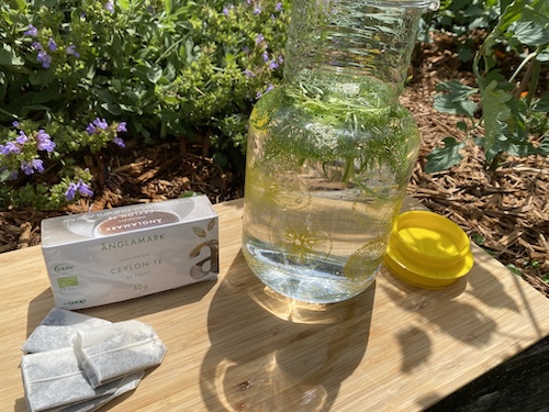 IMG_3662 Wonder Wednesday 151: Let's Make Sun Tea! Wings, Worms, and Wonder