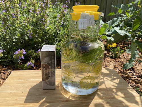 IMG_3667 Wonder Wednesday 151: Let's Make Sun Tea! Wings, Worms, and Wonder