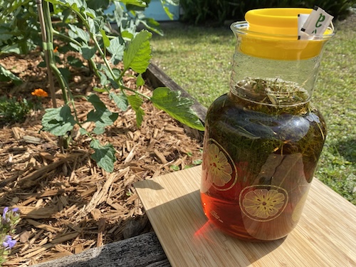 IMG_3677 Wonder Wednesday 151: Let's Make Sun Tea! Wings, Worms, and Wonder