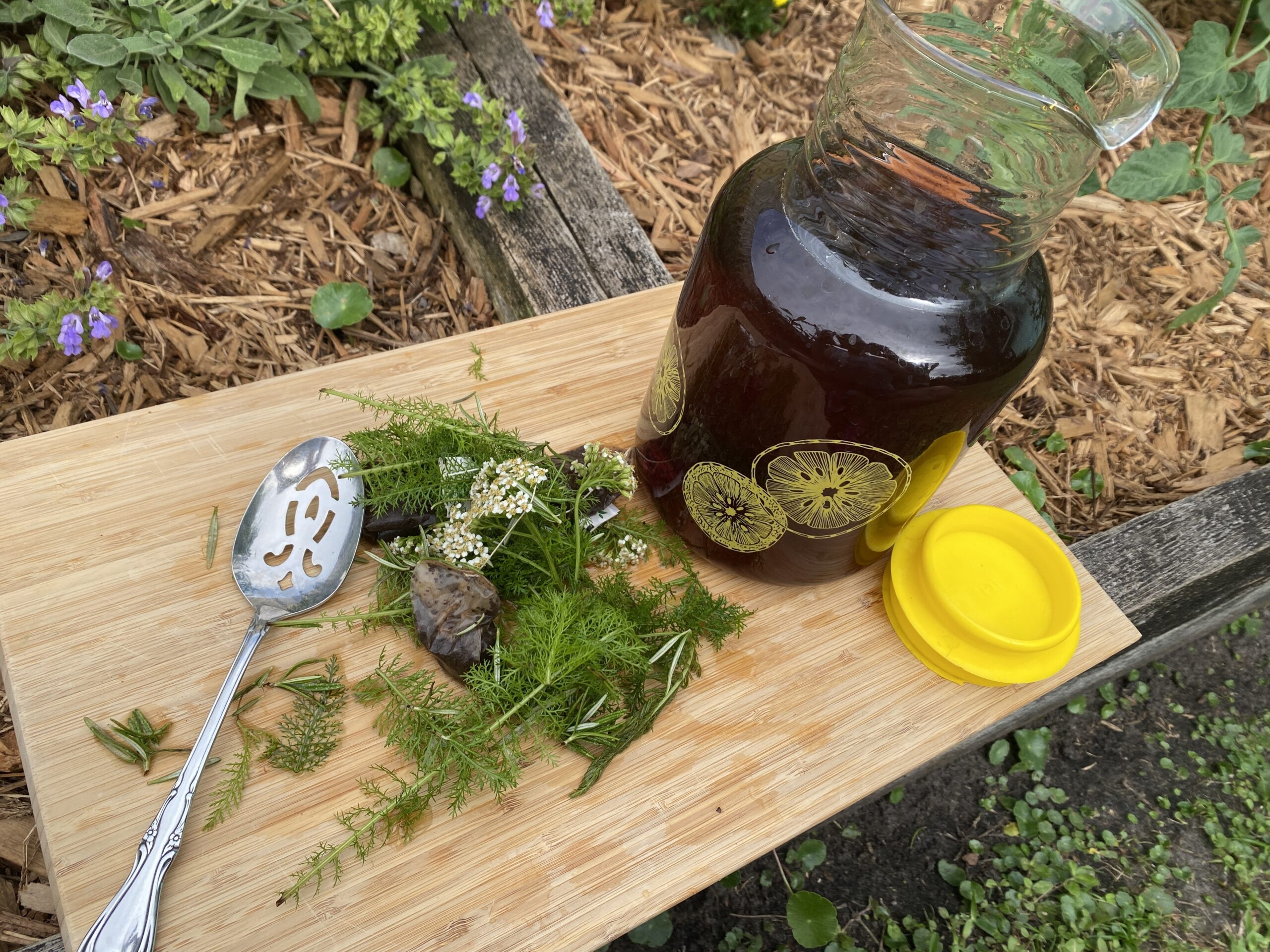 IMG_3679 Wonder Wednesday 151: Let's Make Sun Tea! Wings, Worms, and Wonder