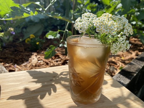 IMG_3692 Wonder Wednesday 151: Let's Make Sun Tea! Wings, Worms, and Wonder