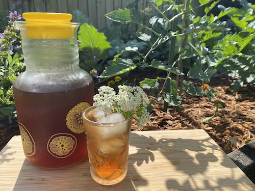 IMG_3696 Wonder Wednesday 151: Let's Make Sun Tea! Wings, Worms, and Wonder