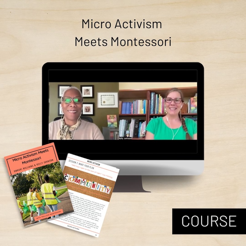 Micro Activism Meets Montessori Course