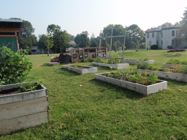 Wonder Wednesday 9 - Refresh - Cover Crop