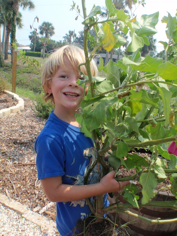 Wonder Wednesday 9 - Refresh - Cover Crop
