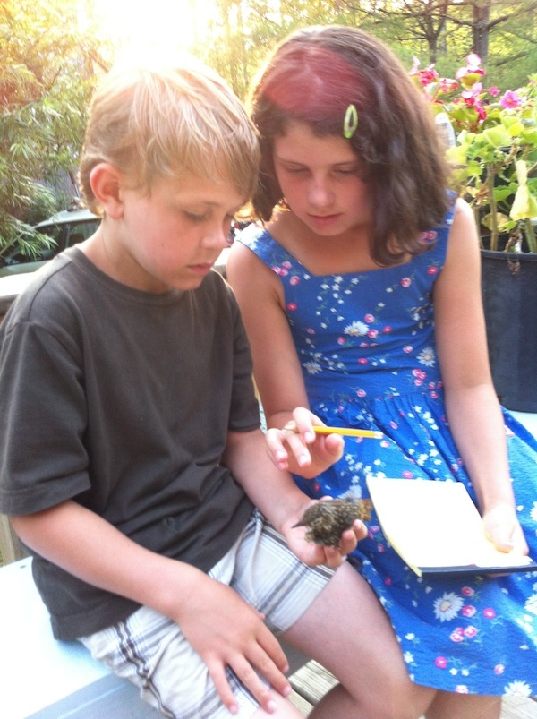 Joanna Tebbs-Young Wonder Wednesday 11